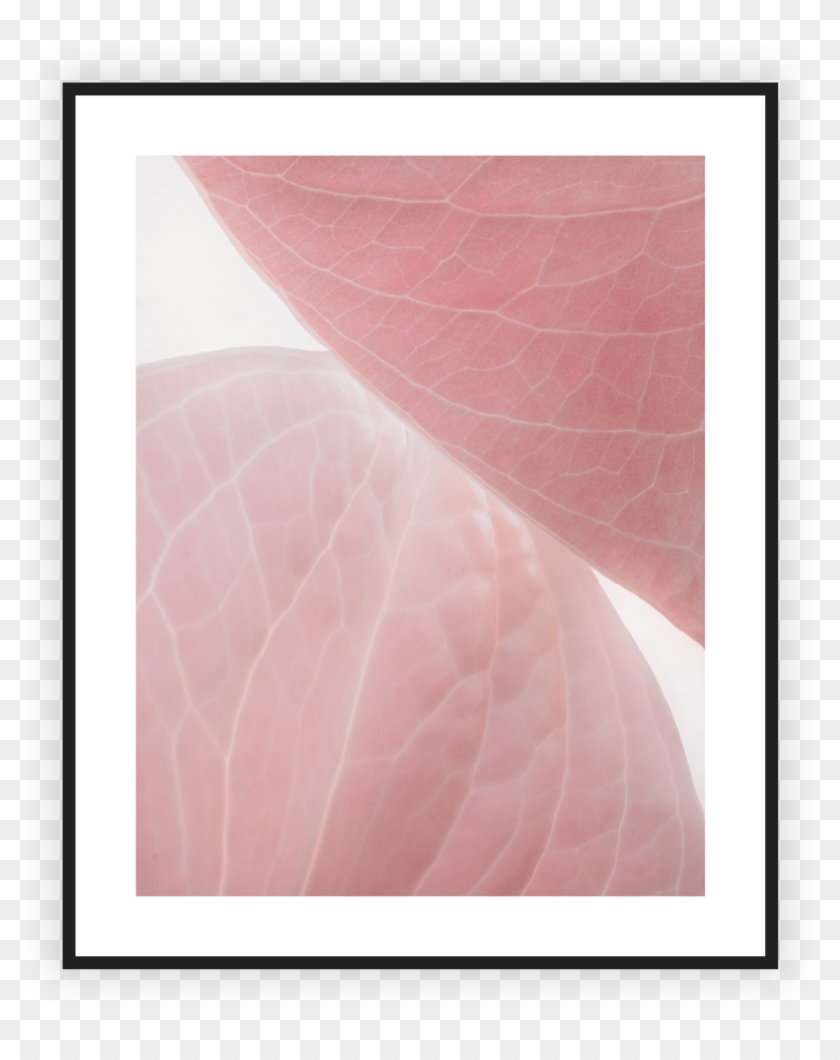 Home/nature/natural Shapes I - Visual Arts Clipart #676982