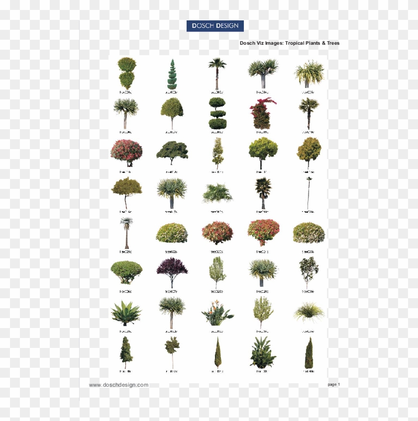 Attractive Quantity Discounts Up To 20% Are Displayed - Oniscidea Clipart