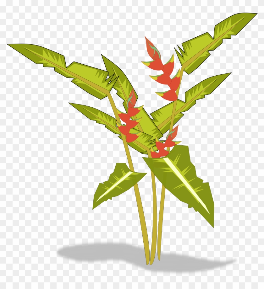 Big Image - Heliconia Png Clipart #677619