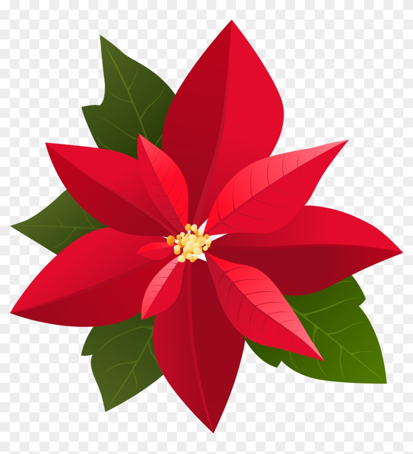 Christmas Poinsettia Png Clip Art Transparent Png #677930