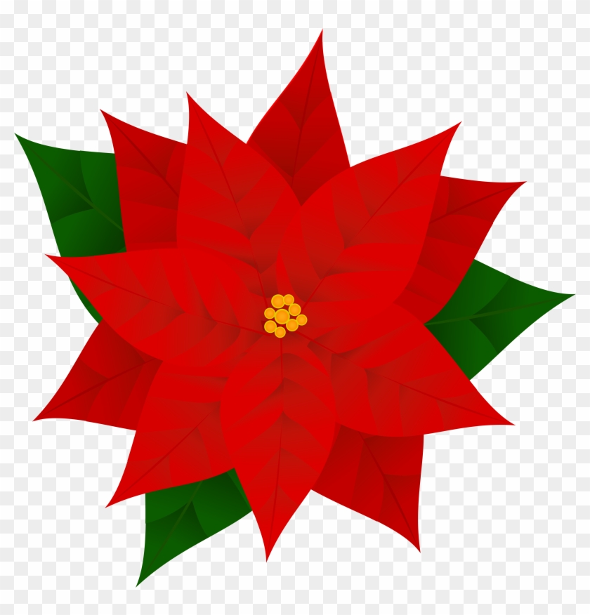 Poinsettia Png Clipart Image - Clip Art Poinsettia Transparent Png