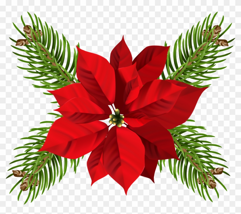 Free Png Christmas Poinsettia Png - Transparent Background Poinsettia Png Clipart #678337