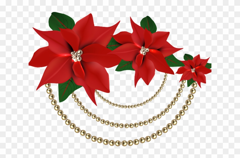Poinsettia Clipart Christmas Rose - Flores Png Navidad Transparent Png #678573