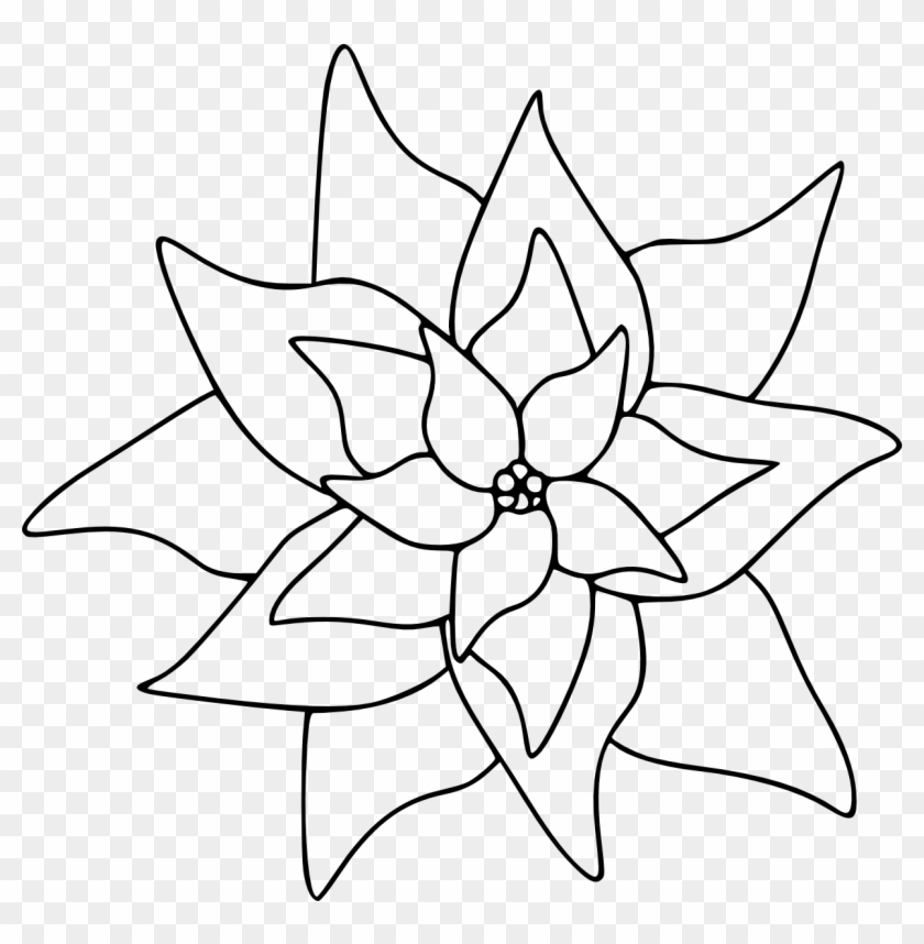 Poinsettia Clip Art Free - Drawing Of Poinsettia Steps - Png Download #678668