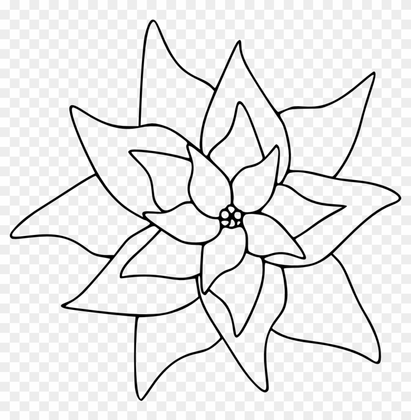 Poinsettia Clip Art Free - Drawing Of Poinsettia Steps - Png Download