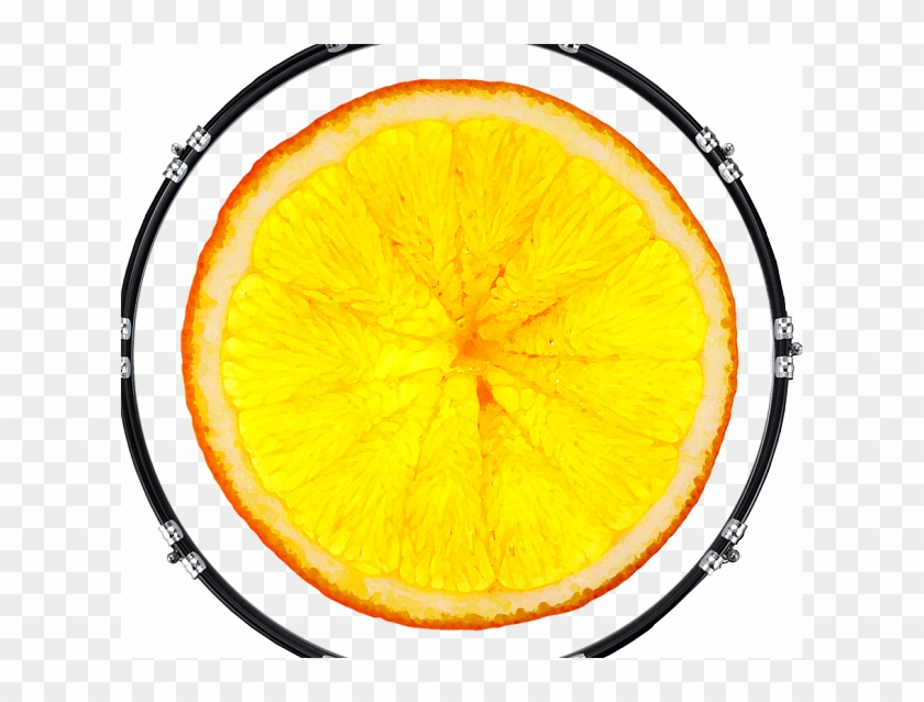 Animal Black Panther Front Clipart