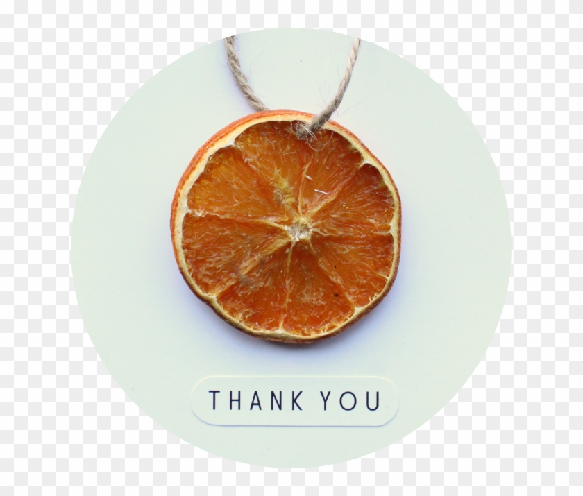 Dried Orange Slice Card - Clementine Clipart #678864