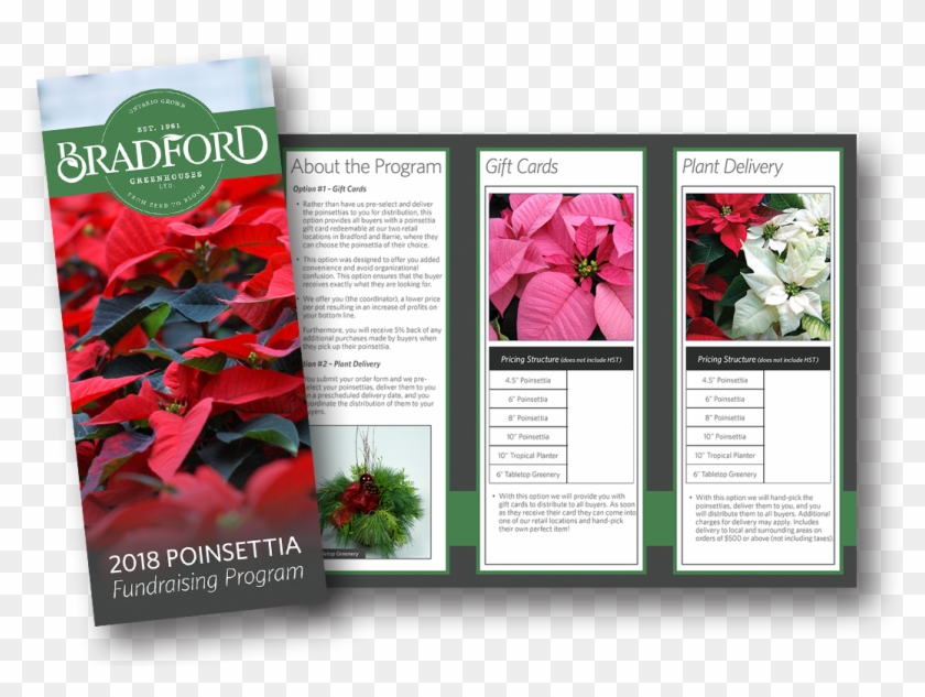 How To Order - Poinsettia Clipart
