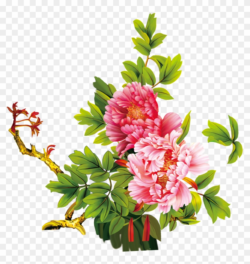 Floral Design Moutan Peony Download Flower - 牡丹 图 Clipart #678997