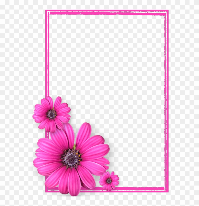 Pink Flower Frame Png Photos8 - Psalm 107 8 Kjv Bible Verse Clipart #679178