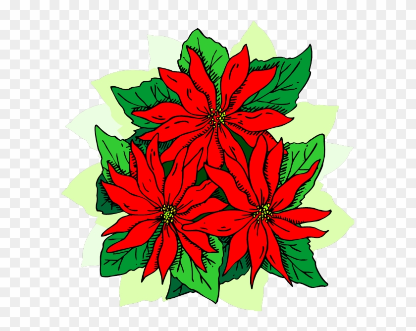 Poinsettia Clipart
