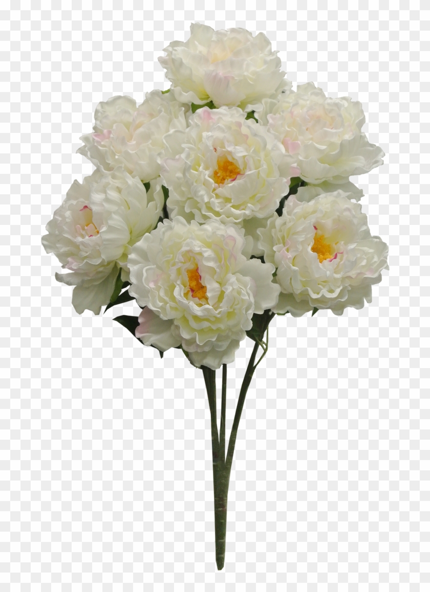Cream Peony Bush X7 Sale Item - Bouquet Clipart