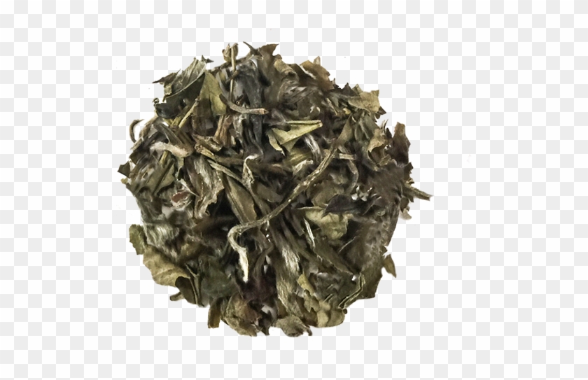 Loose Leaf Green Tea Clipart #679713