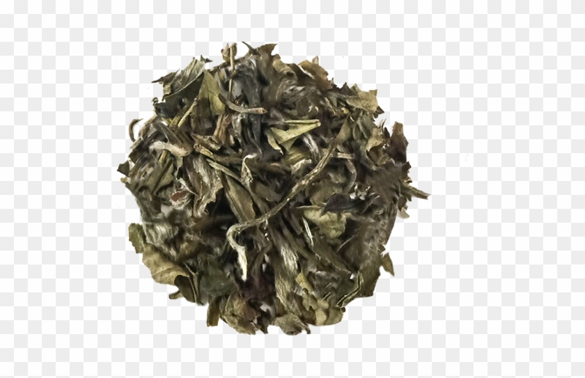 Loose Leaf Green Tea Clipart