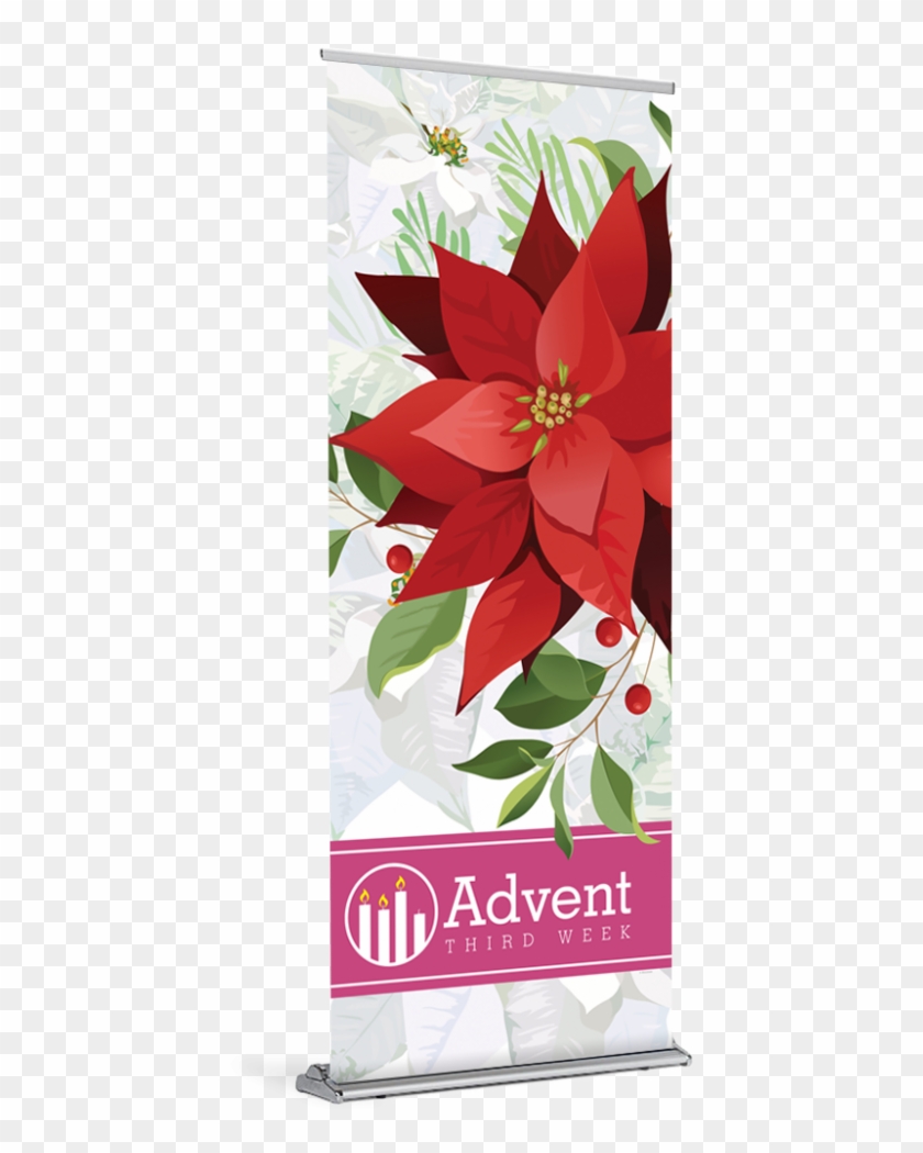 Tap To Expand - Poinsettia Clipart #679918