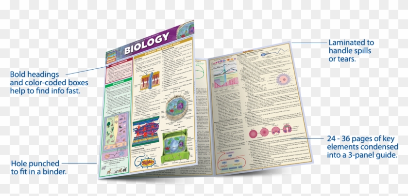 Study Guides - Biology Barcharts Clipart #680190