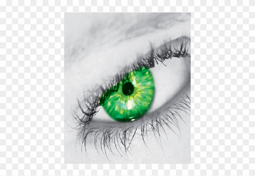 Overview - Pattern Clipart