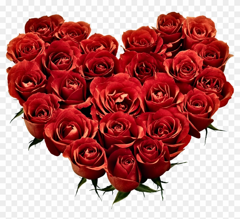 Image Download Day February Propose Wish National Hugging - Red Roses Pic Download Clipart #680940
