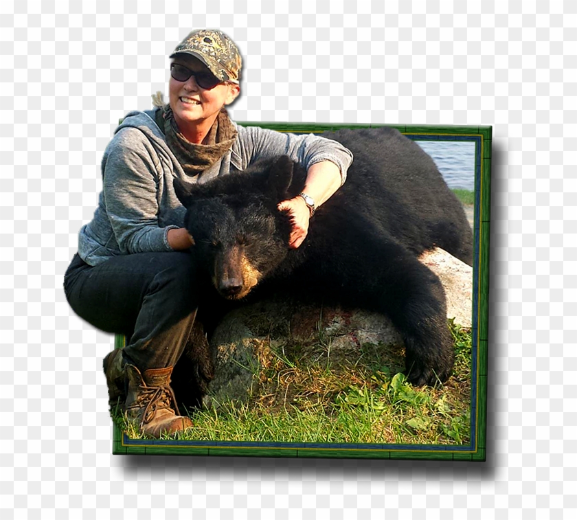 Residents Must Be At Least 15 Years Old And Non-residents - American Black Bear Clipart #682784