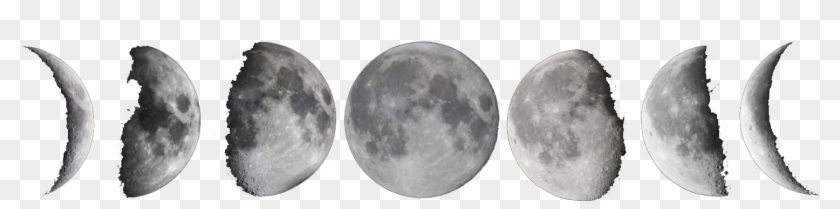 Moon Png Free Download - Moon Phases Png Free Clipart #683332