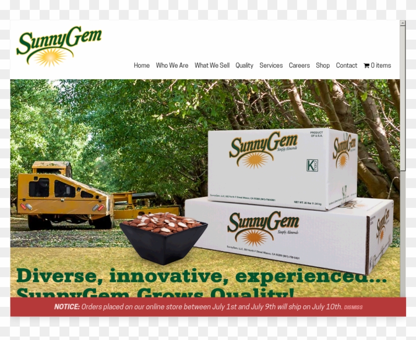 Website History - Sunny Gem Clipart #683826