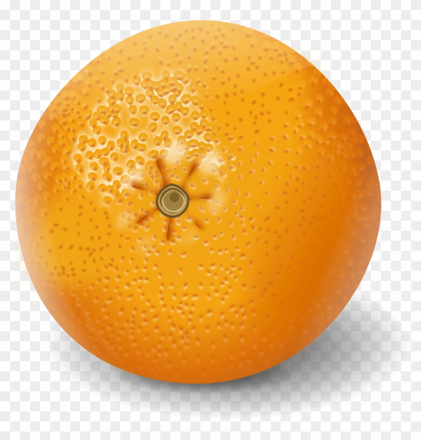Svg Orange Apelsinas Big Image Png - Realistic Clipart Of Fruit Transparent Png