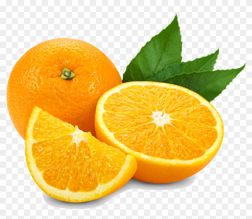 Oranges - Cut Citrus Fruit Clipart