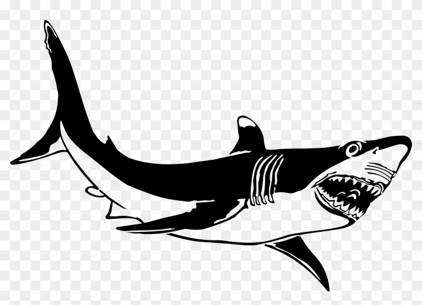 The Great White Shark - Great White Shark Clip Art - Png Download