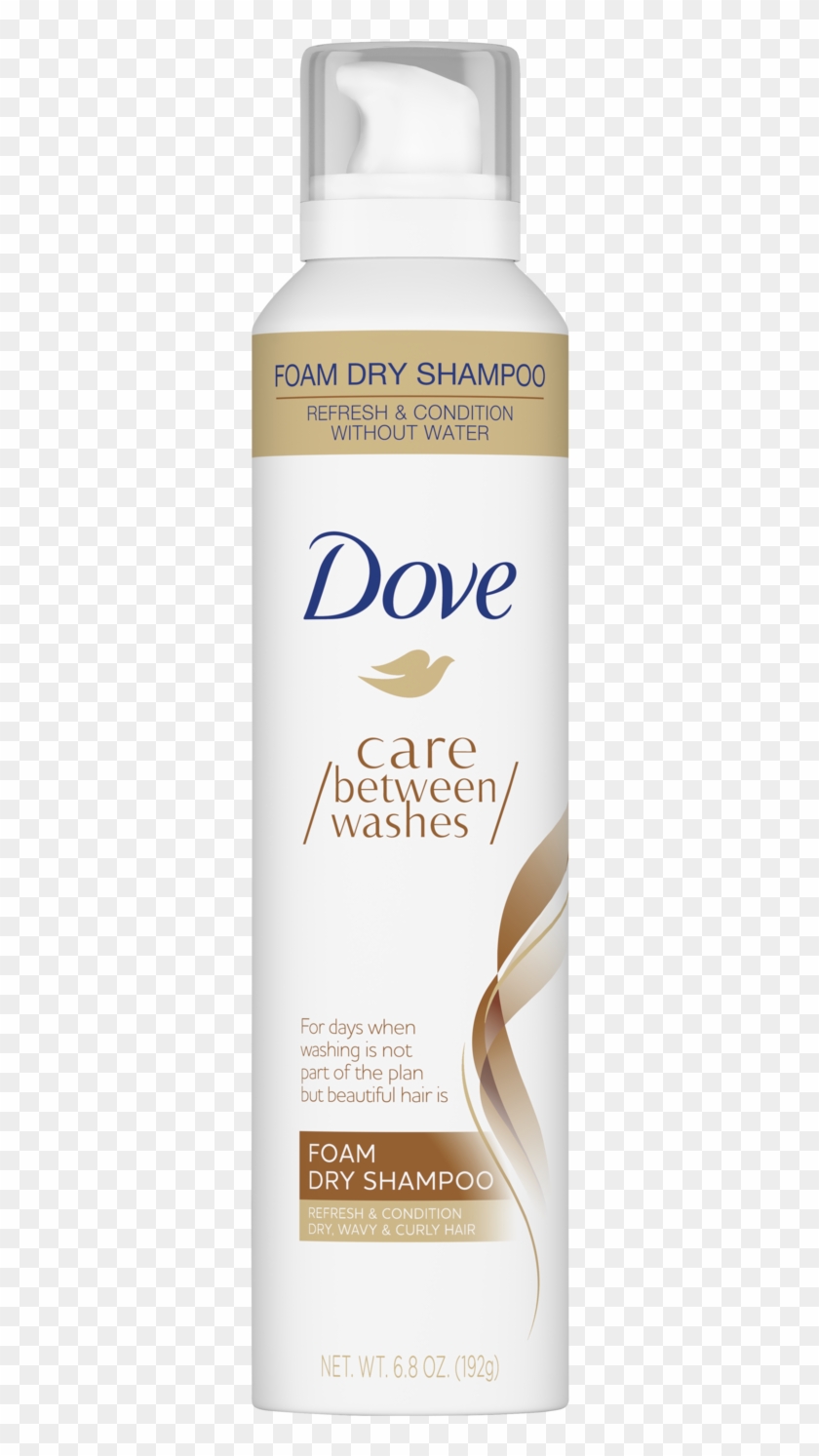Dove Clipart