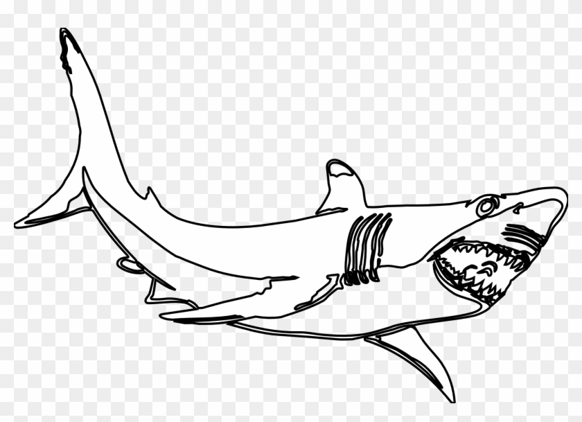 Great White Shark Clipart Black And White - Great White Shark Black And White - Png Download