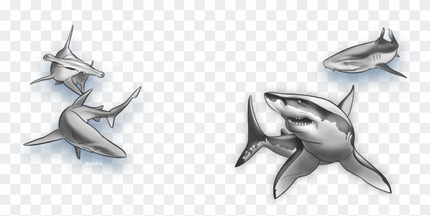 Great White Shark Clipart Outline Tattoo - Great White Shark - Png Download