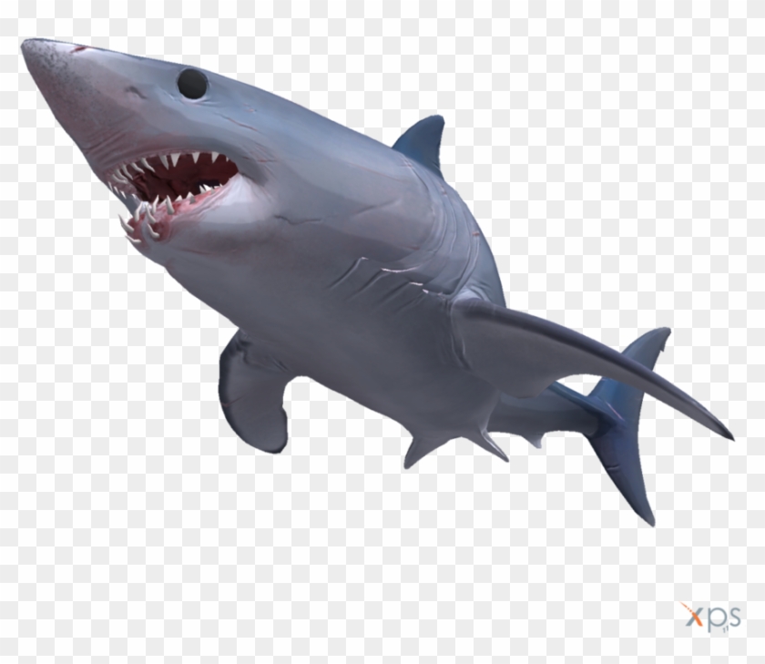 Great White Shark Clipart Mako Shark - Mako Shark Transparent Background - Png Download #687675