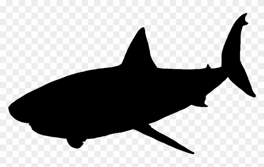 Shark Jumping Out Of Water Png - Silhouette Of A White Shark Clipart