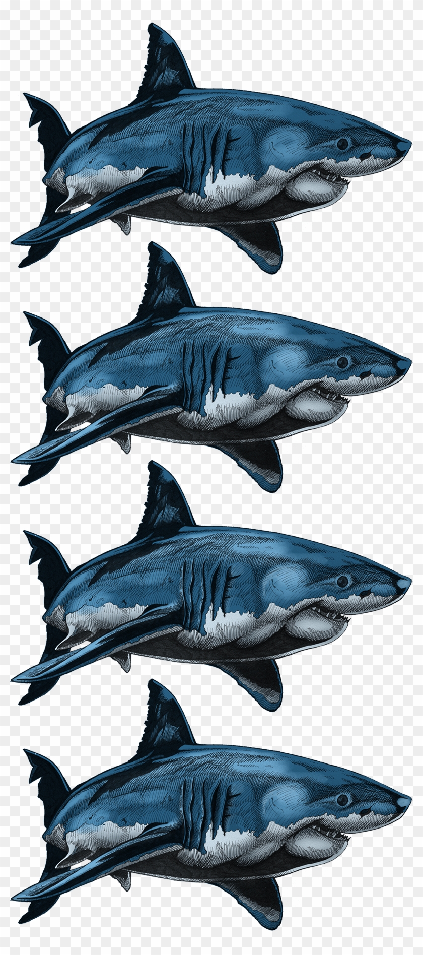 Colouring Samples - Atlantic Blue Marlin Clipart #687915