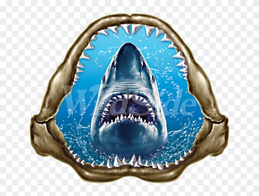 White Shark Jaws Youth - Great White Shark Clipart