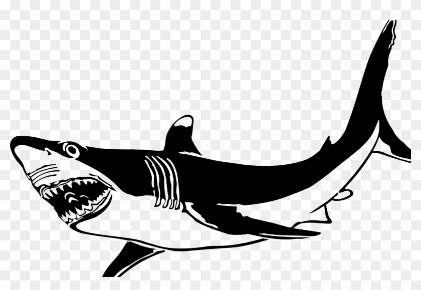 The Great White Shark By Picapica Clipart #688080