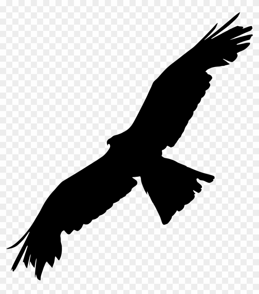 Bald Eagle Bird Of Prey Silhouette - Bird Of Prey Silhouette Clipart #688910