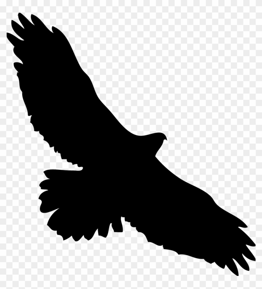 1024 X 1024 11 - Silhouette Of A Hawk Clipart