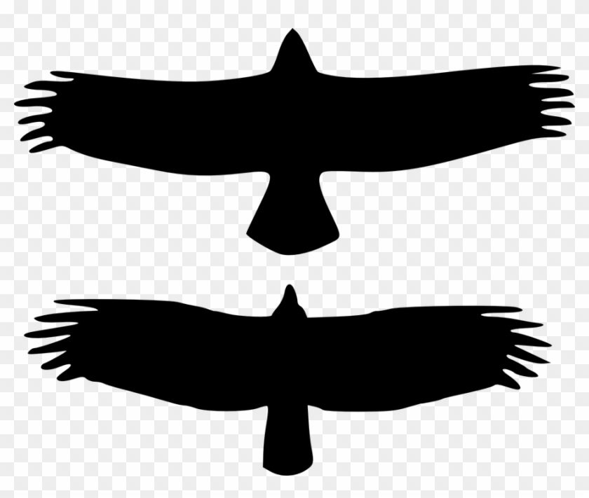Two, Turkey, Silhouette, Eagle, Birds, Bird - Baby Bald Eagle Vs Turkey Vulture Clipart