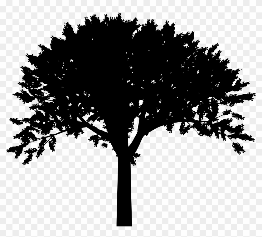 Tree Silhouette Png Clip Art Transparent Png #689484
