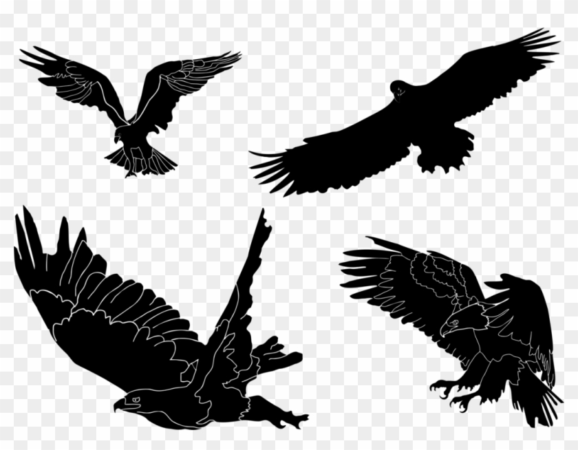 Bald Eagle Philadelphia Eagles T-shirt Silhouette - Clip Art - Png Download
