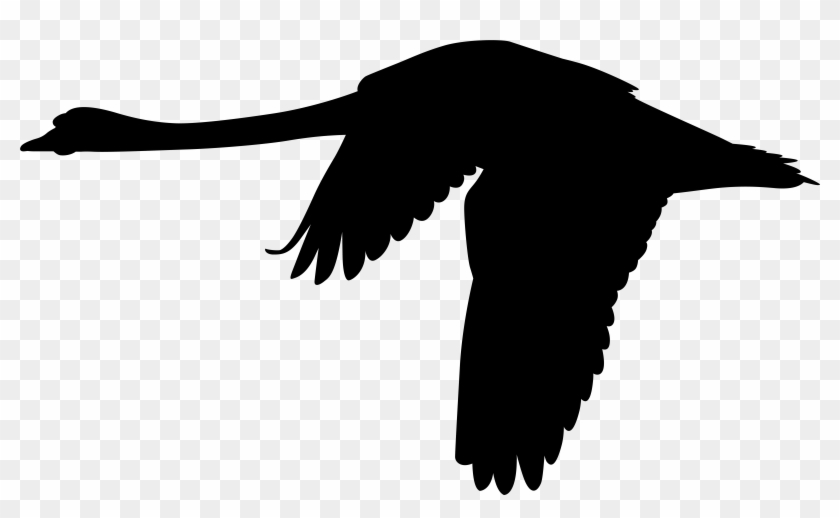 Flying Swan Clip Art - Png Download