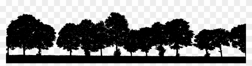 Big Image - Spruce Clipart #689676