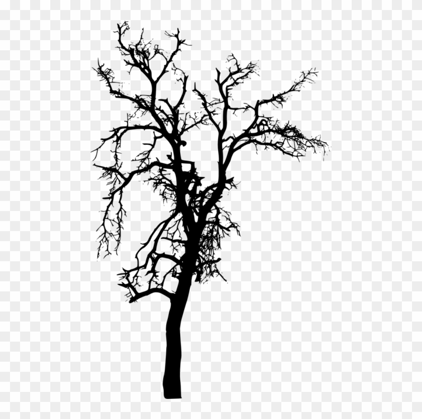 Bare Tree Silhouette Clip Art - Silhouette - Png Download