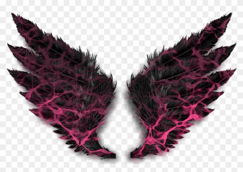 Report Abuse - Bird Wings Png Hd Clipart