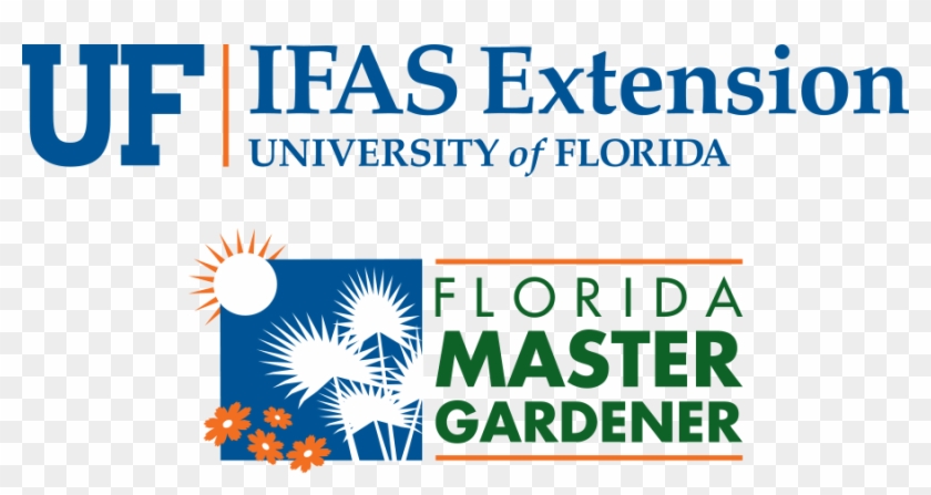 Uf/ifas Master Gardener Logo Stacked Color Small - University Of Florida Master Gardening Clipart #689779