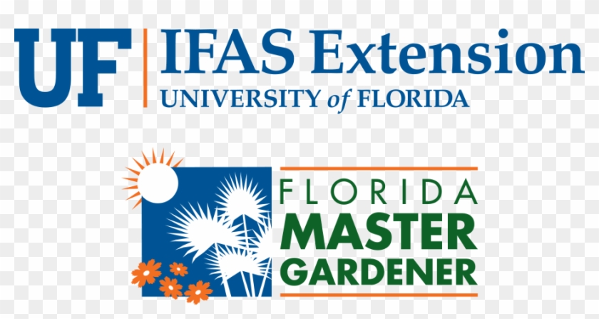 Uf/ifas Master Gardener Logo Stacked Color Small - University Of Florida Master Gardening Clipart