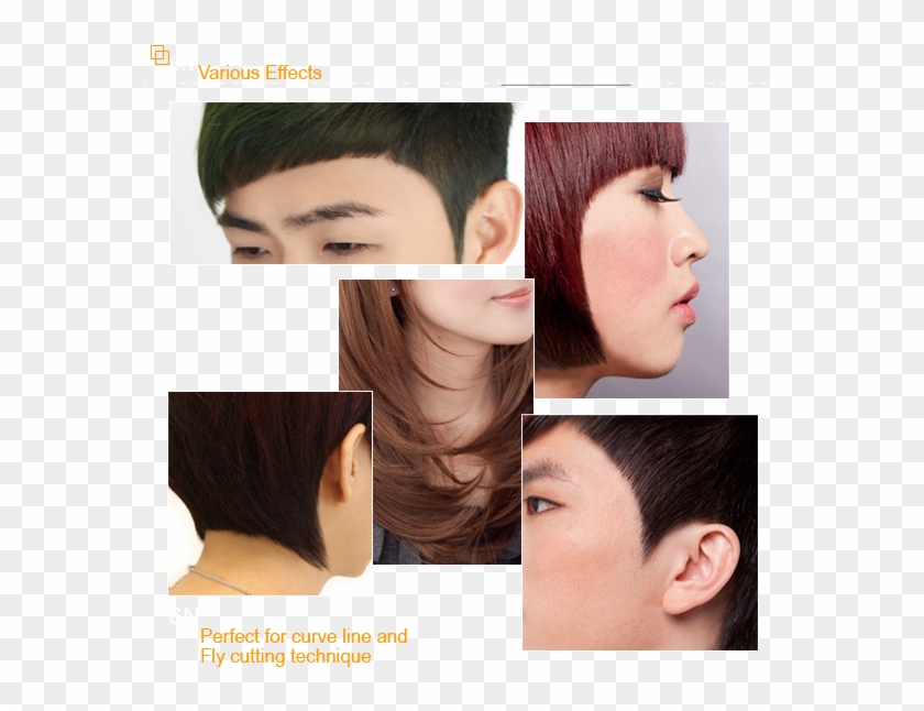 Specialized For Cutting Layers And Outline, Perfect - Collage Clipart