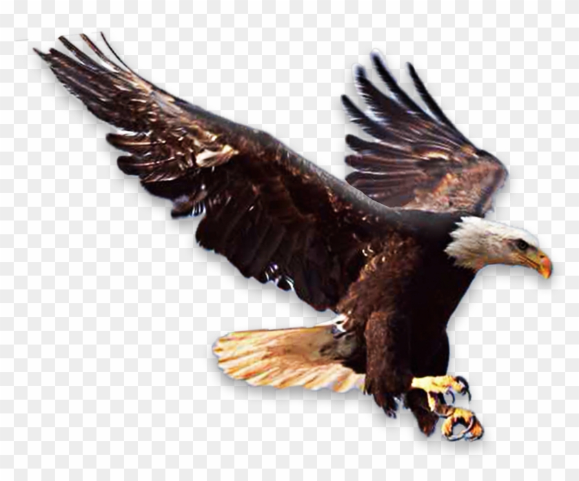 Principles Of Faith [book] , Png Clipart