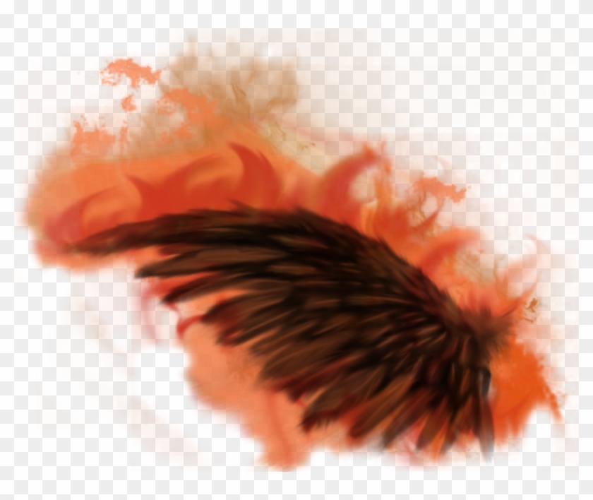 Fire Wings - Fire Wings Png Clipart #690092